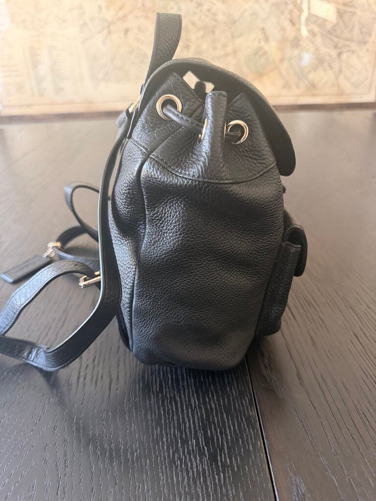 Coach mini Backpack