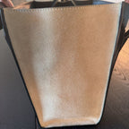 Celine Phantom TriColor Luggage