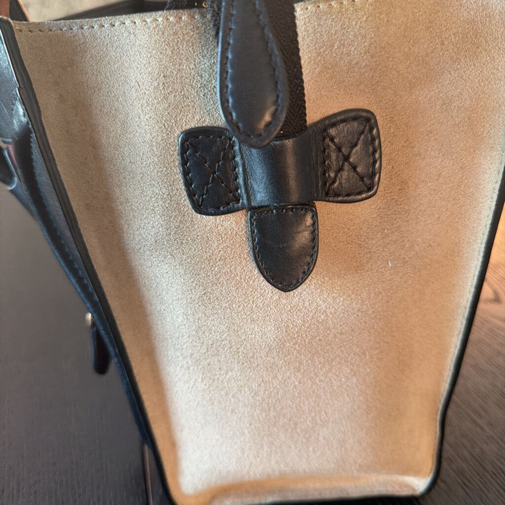 Celine Phantom TriColor Luggage