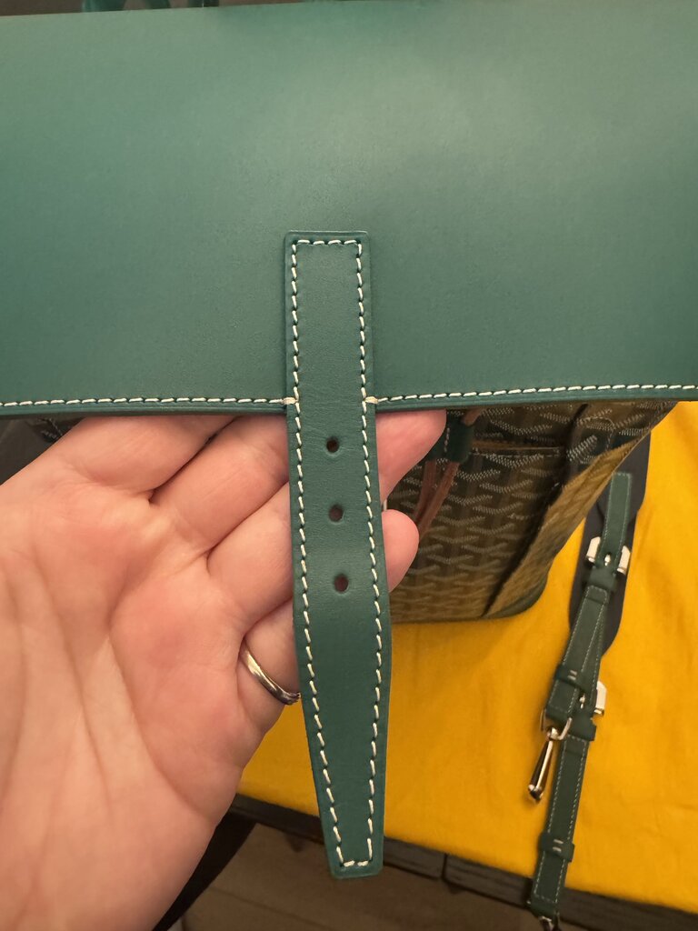 Goyard (Rare) Alpine Backpack MM