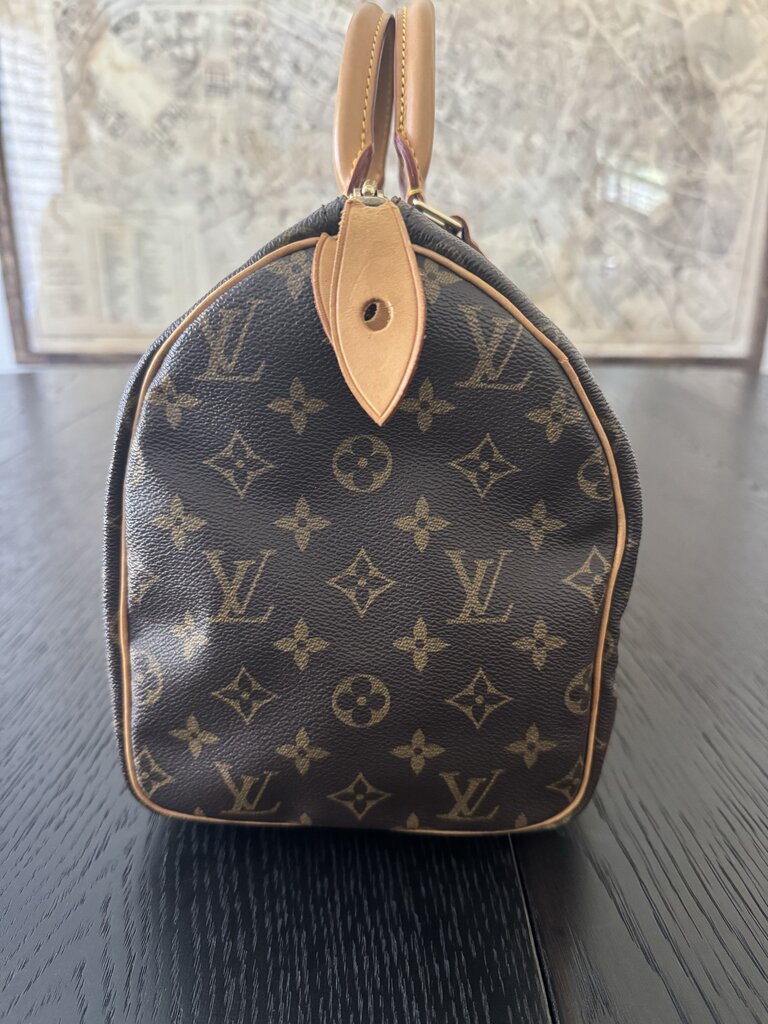Louis Vuitton Speedy 30 TH0967