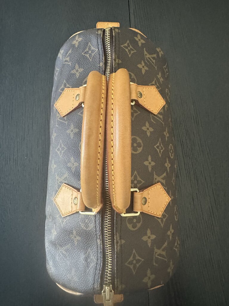 Louis Vuitton Speedy 30 TH0967