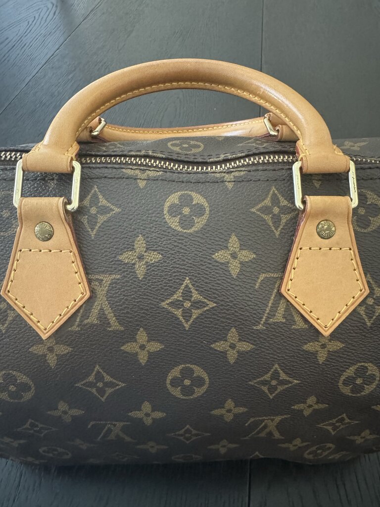 Louis Vuitton Speedy 30 TH0967
