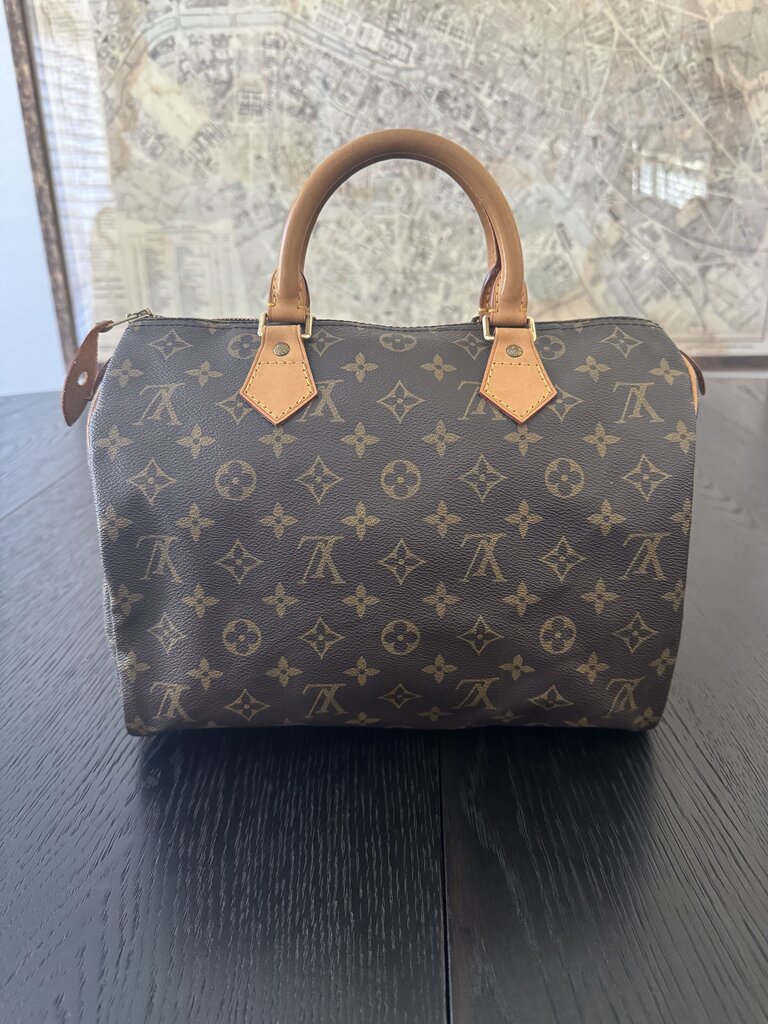 Louis Vuitton Speedy 30 TH0967