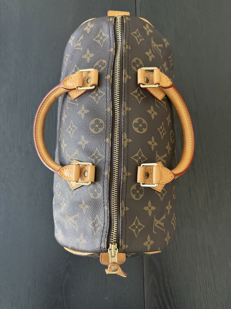 Louis Vuitton Speedy 30 TH0967