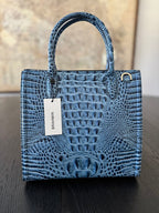 Brahmin Caroline Satchel