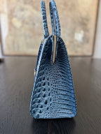 Brahmin Caroline Satchel