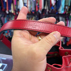 Louis Vuitton Epi Noe Bucket Bag