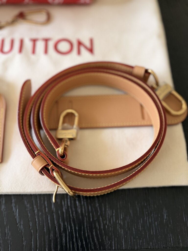 Louis Vuitton P9 Speedy 25