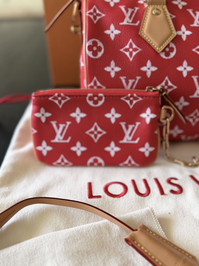 Louis Vuitton P9 Speedy 25