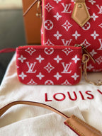 Louis Vuitton P9 Speedy 25
