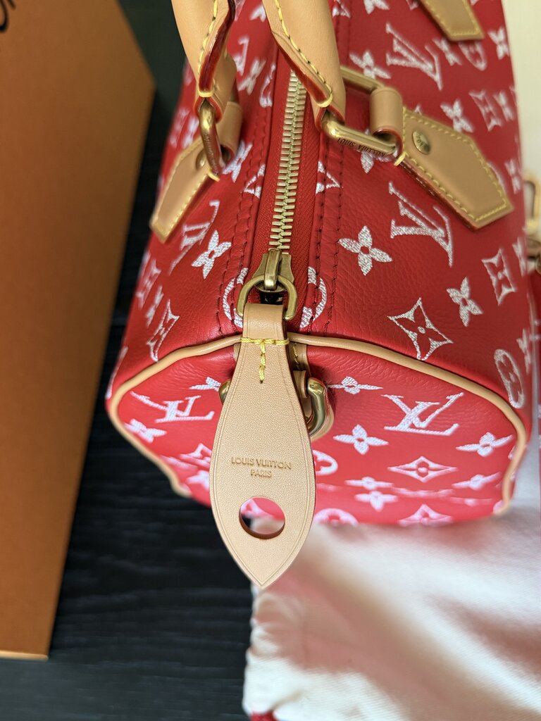 Louis Vuitton P9 Speedy 25