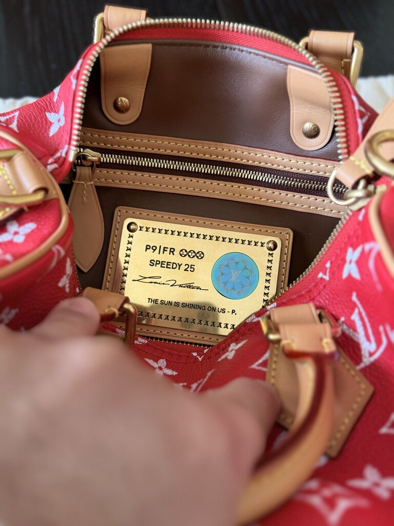 Louis Vuitton P9 Speedy 25