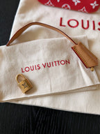 Louis Vuitton P9 Speedy 25
