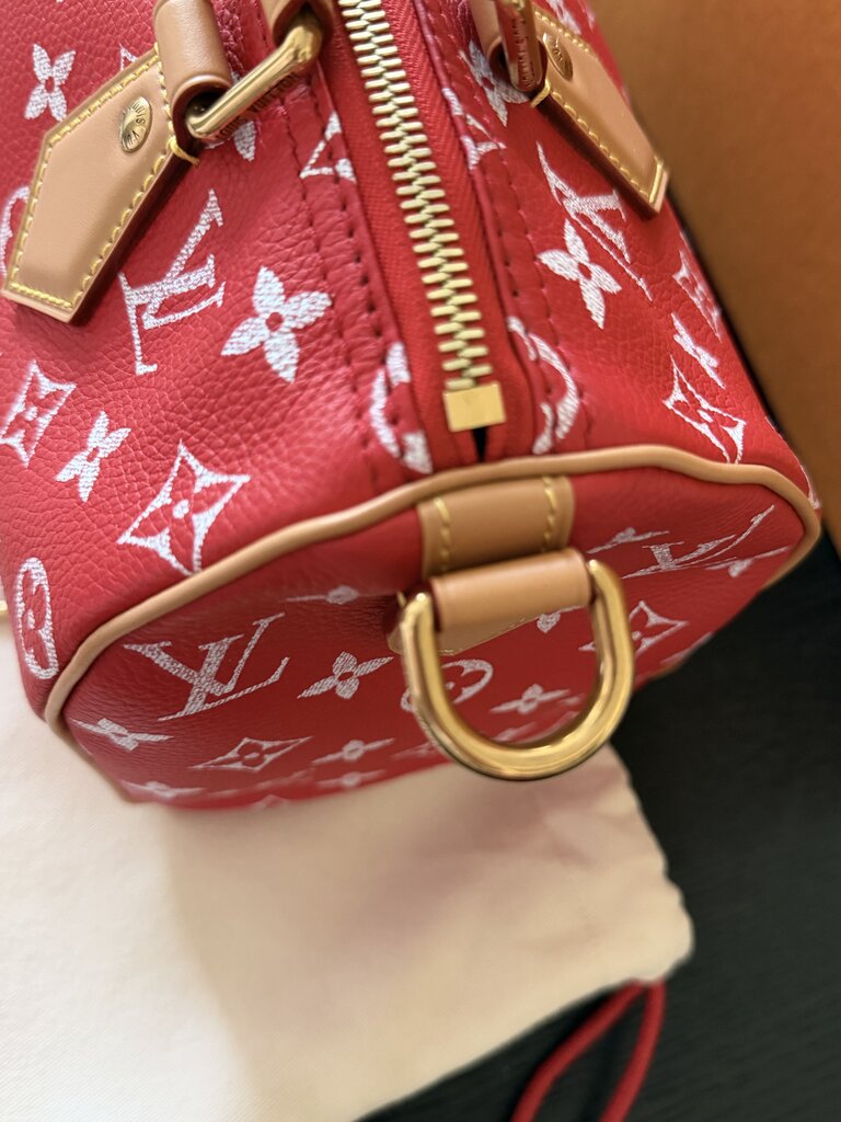 Louis Vuitton P9 Speedy 25