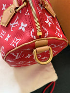 Louis Vuitton P9 Speedy 25