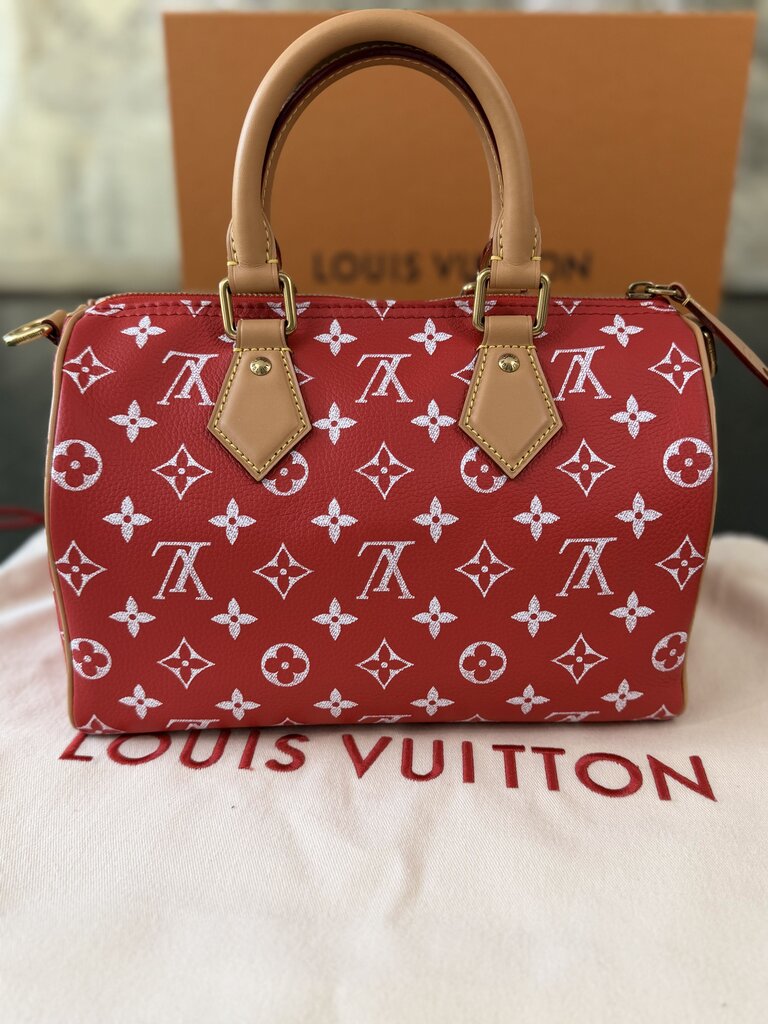 Louis Vuitton P9 Speedy 25