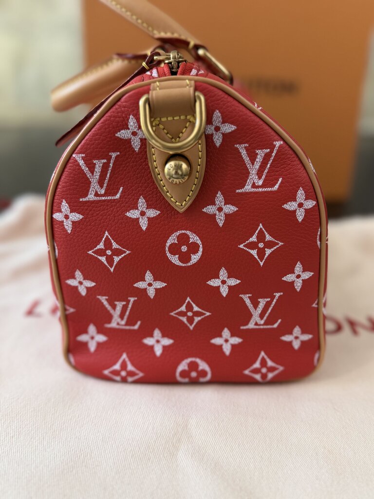 Louis Vuitton P9 Speedy 25