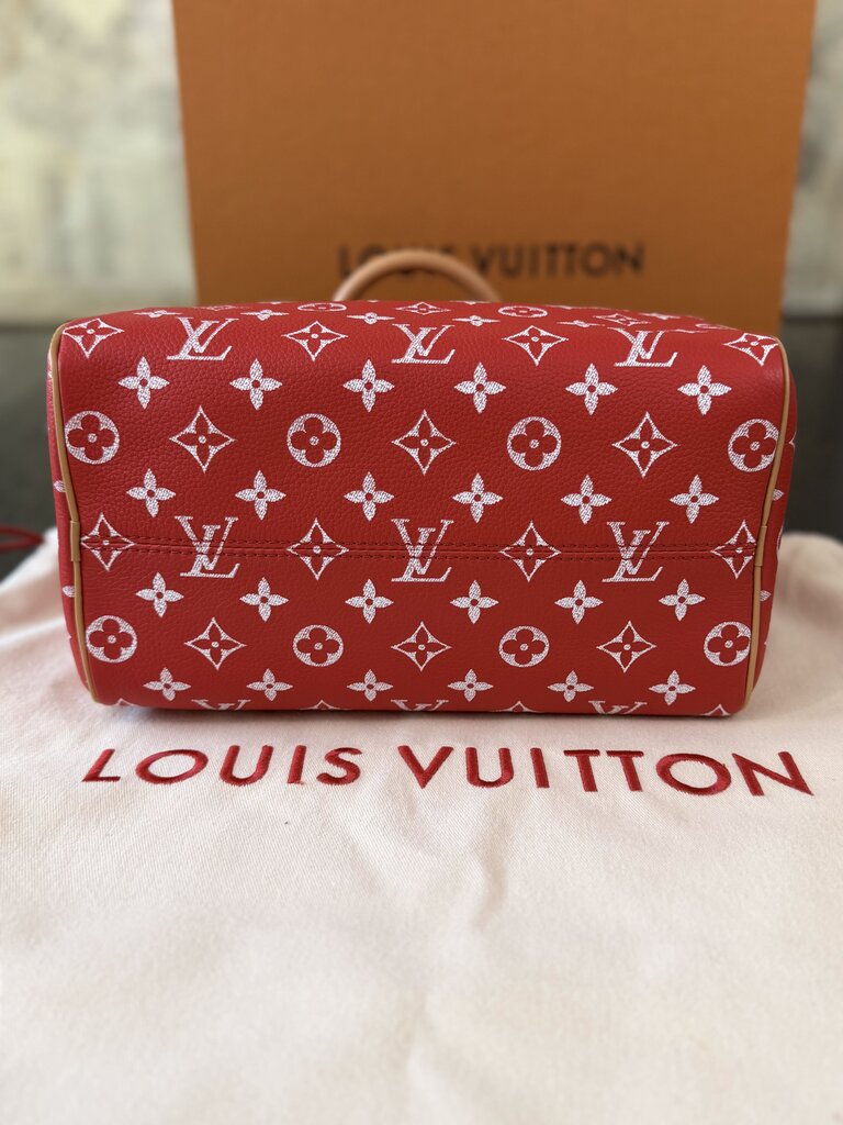 Louis Vuitton P9 Speedy 25