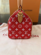 Louis Vuitton P9 Speedy 25