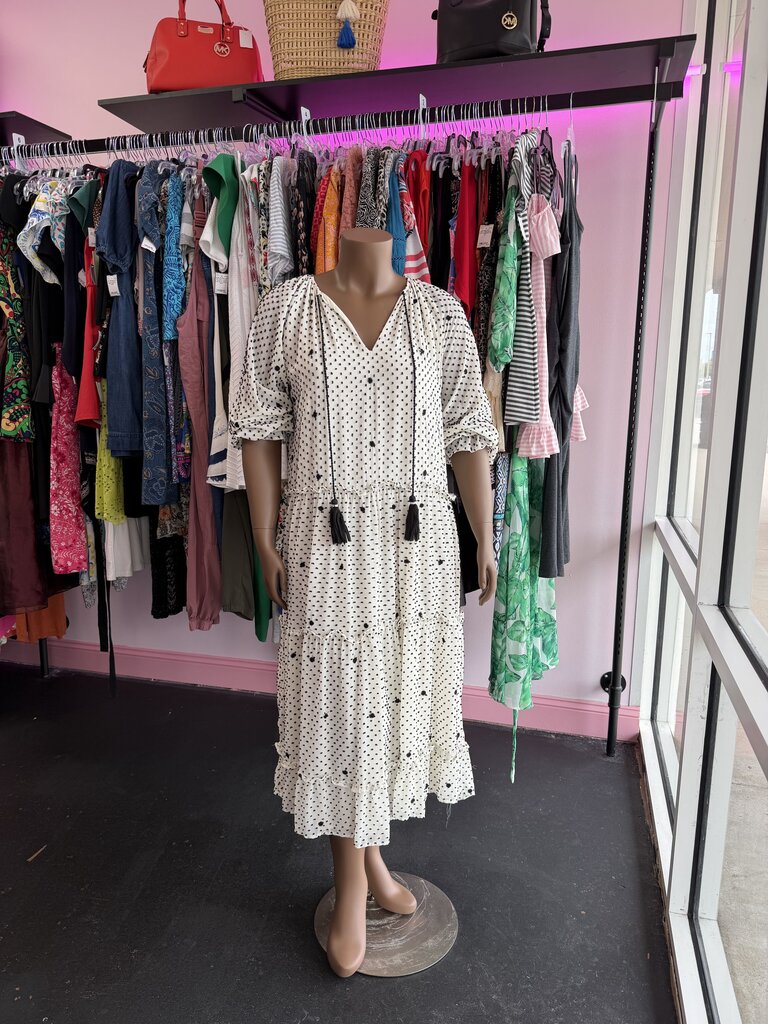 LG L/S Deep V DOTTED MESH OVERSIZED EMBROIDERED DRESS SWISS DOT TASSELS