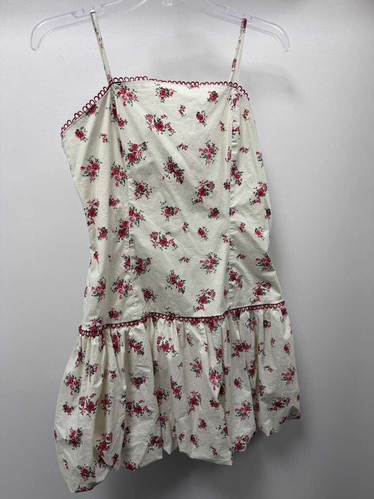 LG Spaghetti Rose Embroidery Edges Puff Bottom Dress