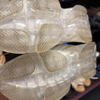 9.5 Steve Madden Maxima Rhinestone Sneakers