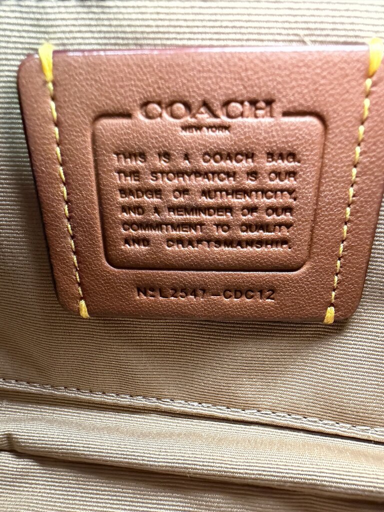 Coach Ashton Shoulder Bag With long Strap In Newspaper Print Refined Pebbled Leather