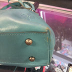 Patricia Nash Rienzo Kiss-Lock Frame Satchel