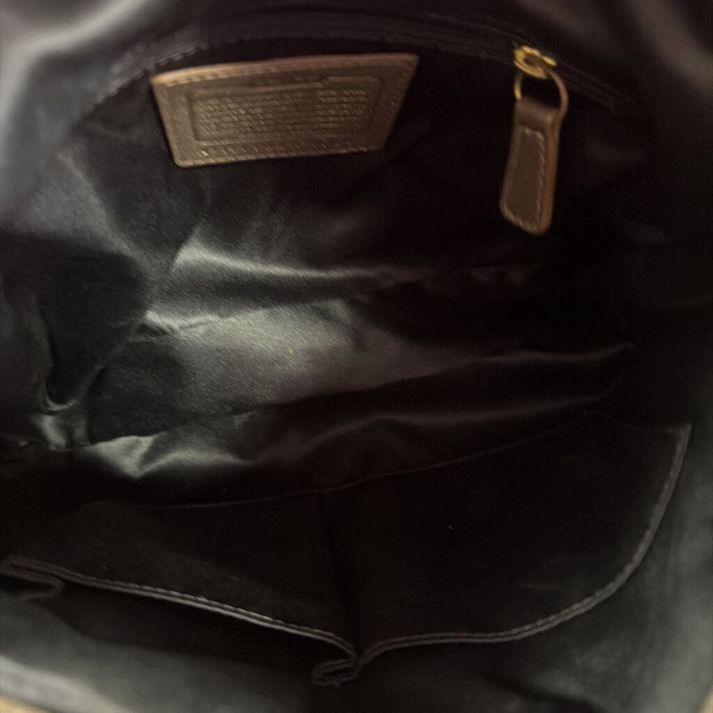 Coach Ashley Metallic Leather Pleated Hippie Shoulder Bag F17605