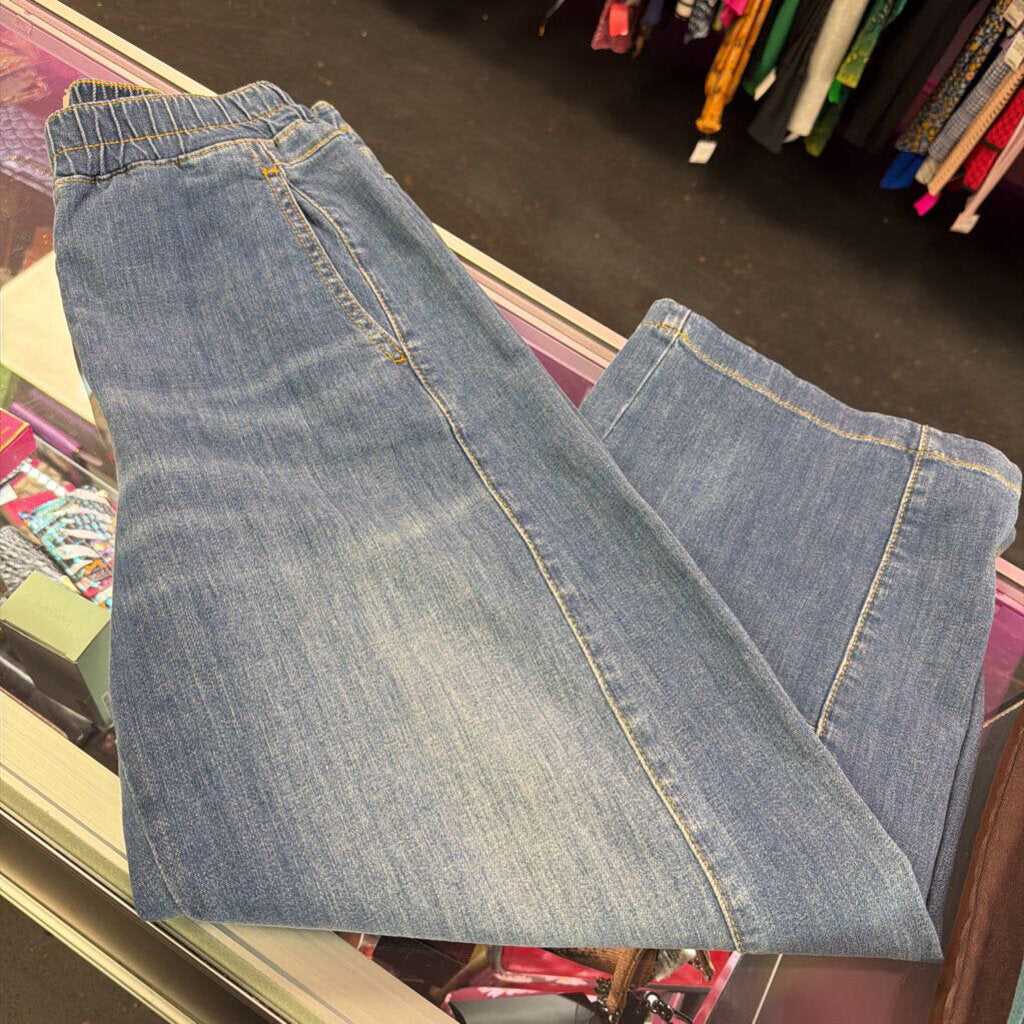 Sm Pilcro EW Paneled Denim Wide Jean